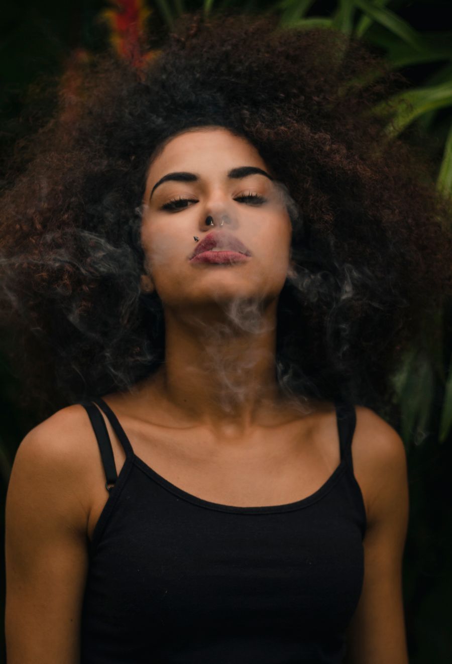 vape bundle